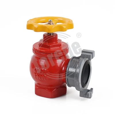 Hidrant de incendiu interior DN50